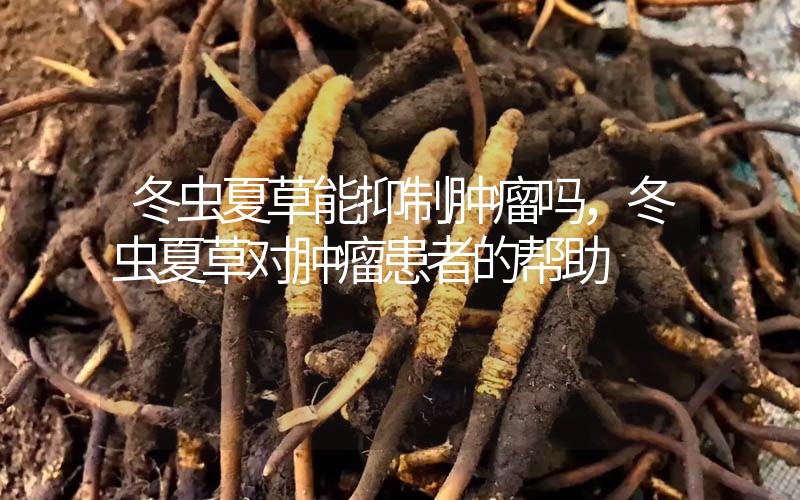 冬蟲夏草能抑制腫瘤嗎？冬蟲夏草對(duì)腫瘤患者的幫助