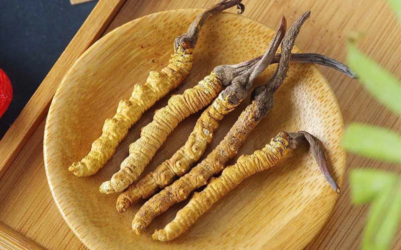 冬蟲夏草作用可以調(diào)節(jié)身體肝臟功能嗎？