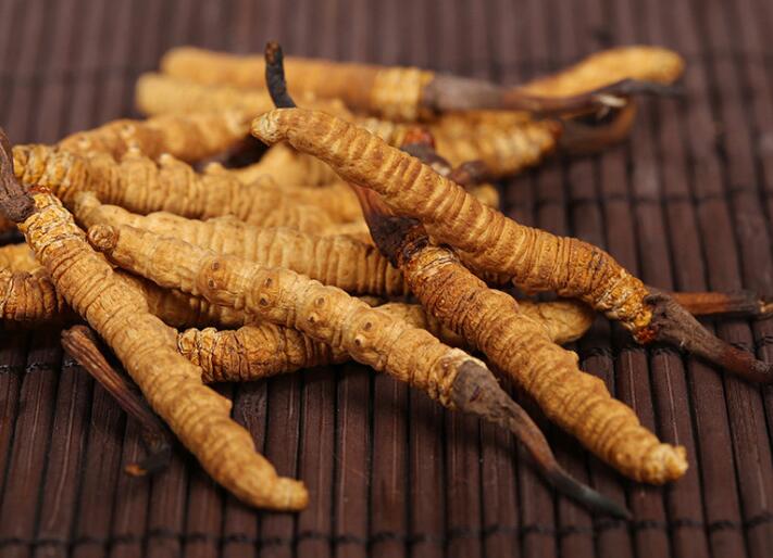 什么樣的冬蟲(chóng)夏草算是優(yōu)質(zhì)的？