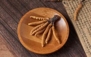 如何識別常見的冬蟲夏草品種？