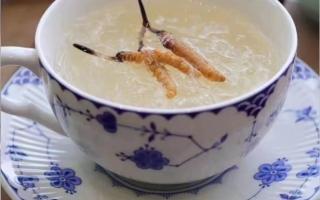 冬蟲夏草燉燕窩怎么做？