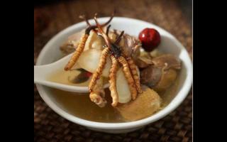 豐富滋補(bǔ)選擇：探索冬蟲(chóng)夏草的美味吃法！