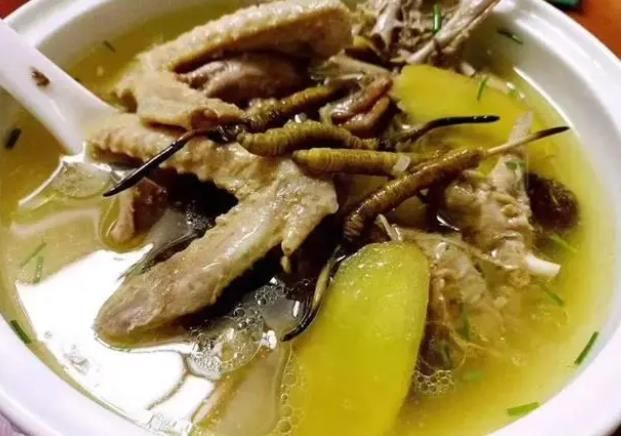冬蟲夏草和哪些食材可以一起煲湯？