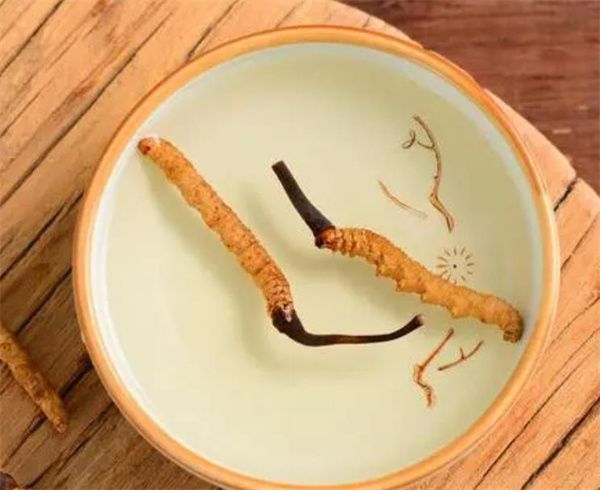 枸杞鎖陽冬蟲夏草泡酒 制作枸杞鎖陽冬蟲夏草泡酒的詳細(xì)步驟