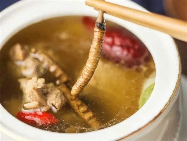 冬蟲夏草能吃嗎？冬蟲夏草可以怎么吃