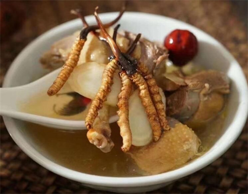 冬蟲夏草可以燉海鯽魚嗎？