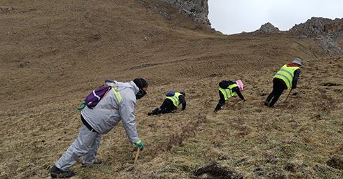 <a href=http://www.anyvice.com/sdph/zf/ target=_blank class=infotextkey>珍峰冬蟲(chóng)夏草</a>:源自世界屋脊的養(yǎng)生瑰寶