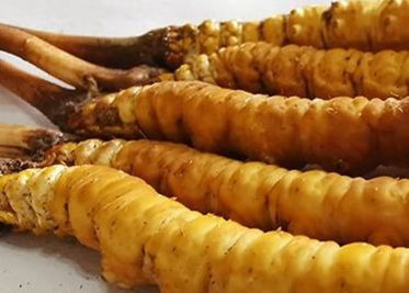 <a href=http://www.anyvice.com/sdph/zf/ target=_blank class=infotextkey>珍峰冬蟲夏草</a>主要的銷售模式