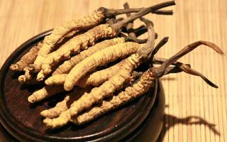 冬蟲夏草的價格一克：為何如此昂貴？