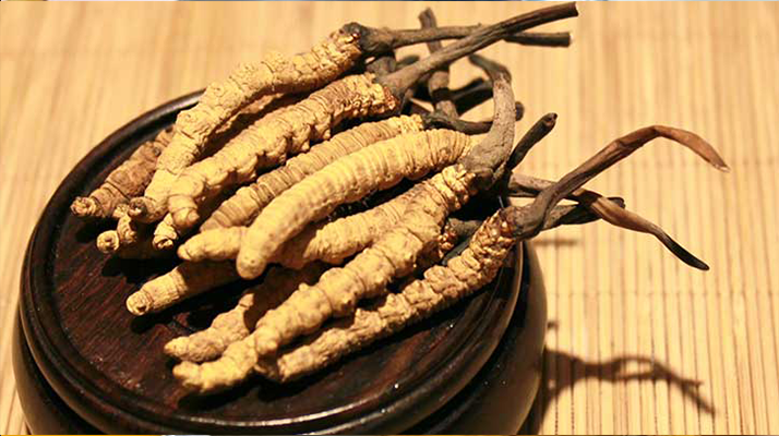 未來冬蟲夏草會漲價嗎？