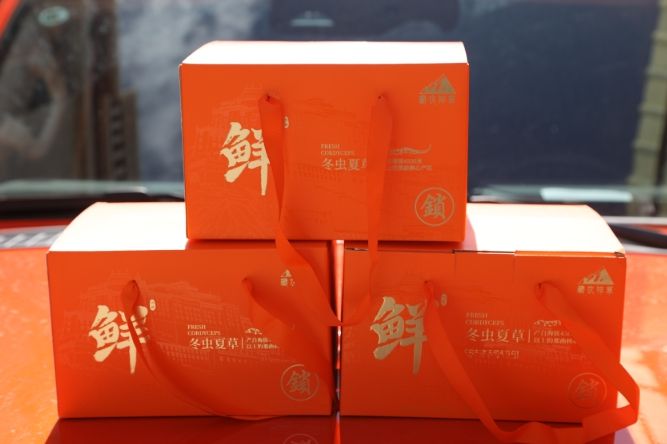 當(dāng)冬蟲(chóng)夏草邂逅橘色包裝:奢華與文化的交融