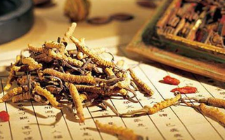 同仁堂健康冬蟲夏草：傳承品質(zhì)，饋贈(zèng)健康