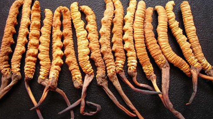 純野生<a href=http://www.anyvice.com/jiage/ target=_blank class=infotextkey>冬蟲夏草多少錢</a>一克？價格背后的秘密?