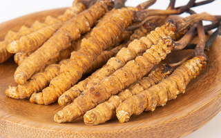 冬蟲夏草怎么驗真假？教你幾招秒判斷真?zhèn)蚊丶?> </div>
            <div   id=