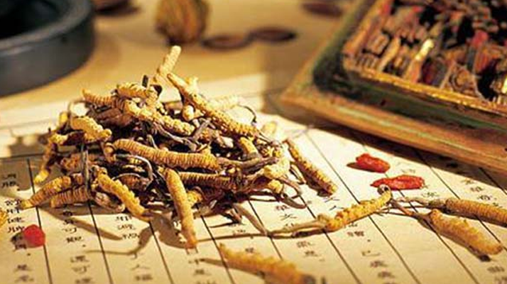 冬蟲夏草適合哪些人？一文讀懂適用與禁忌人群