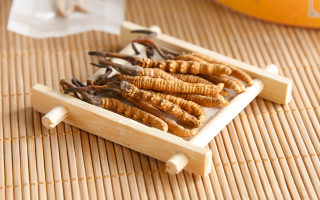 冬蟲夏草可以干燥存放嗎？科學(xué)儲存方法與注意事項
