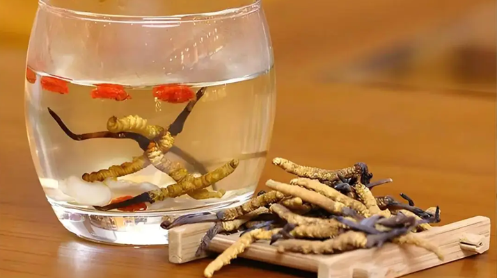 長期喝冬蟲夏草泡水好嗎？科學(xué)分析與飲用指南