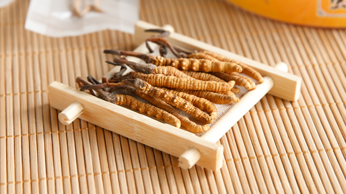 冬蟲夏草老鴨湯怎么燉？鮮香滋補(bǔ)的詳細(xì)做法與技巧