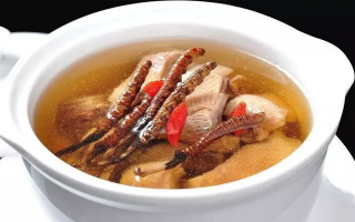冬蟲夏草怎樣燉是最好的？掌握這幾步，營養(yǎng)不流失還美味