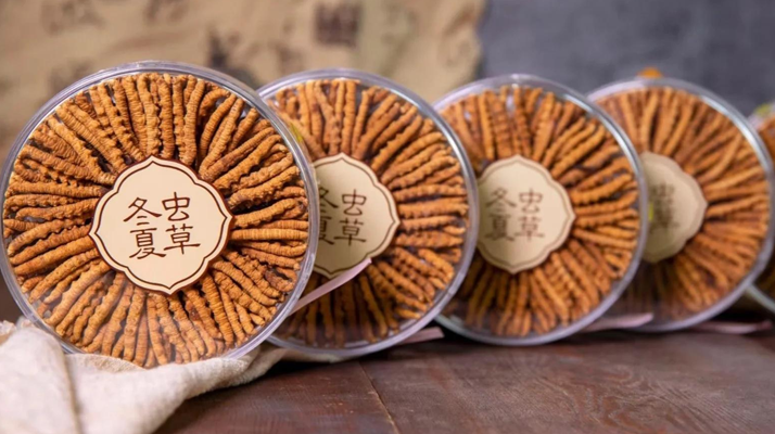 把握黃金時(shí)段！冬蟲夏草在這些時(shí)候吃效果更佳