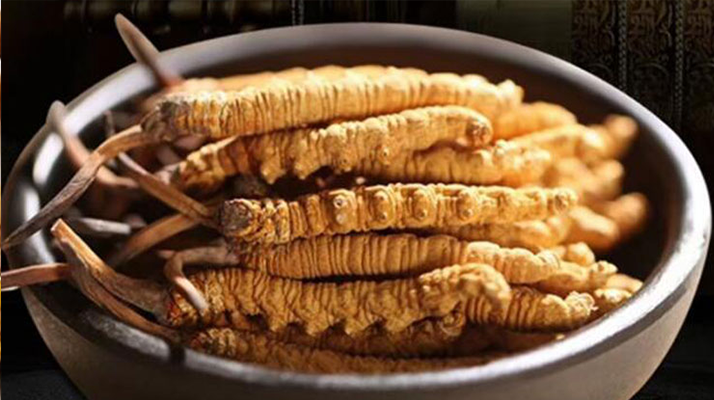 冬蟲夏草效果好不好用?科學(xué)與實(shí)踐視角下的全面解析