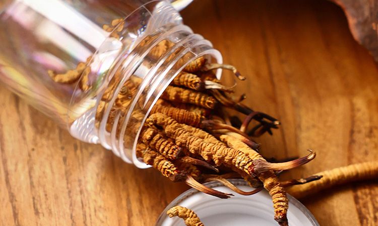 <a href=http://www.anyvice.com/jiage/ target=_blank class=infotextkey>冬蟲夏草多少錢</a>一條 