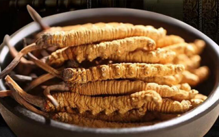 冬蟲夏草掰開后什么樣？從斷面細節(jié)識破品質(zhì)與真?zhèn)?> </div>
            <div   id=