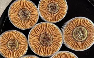 蟲草價(jià)格解密：從產(chǎn)地到市場(chǎng)的價(jià)值密碼