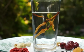人參配蟲草泡酒，泡多久才好喝？咱跟你說實(shí)在的