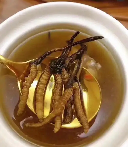 冰糖燉冬蟲夏草的做法，有什么功效?