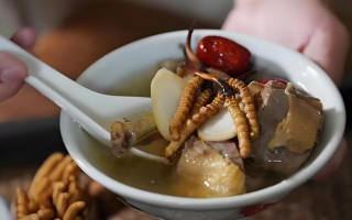 冬蟲夏草和什么一起燉可以治咳嗽？