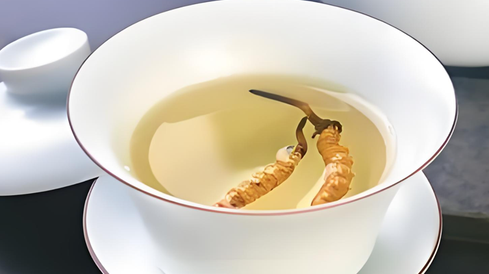 鮮冬蟲夏草可以煮水喝嗎？有什么功效和作用？